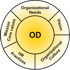 Organizational Development Programme