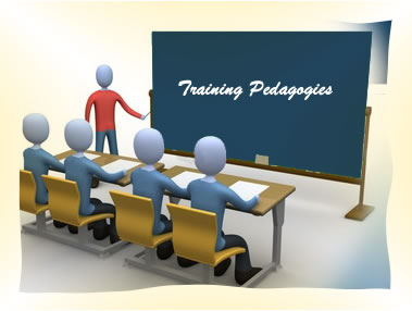 Training Pedagogies